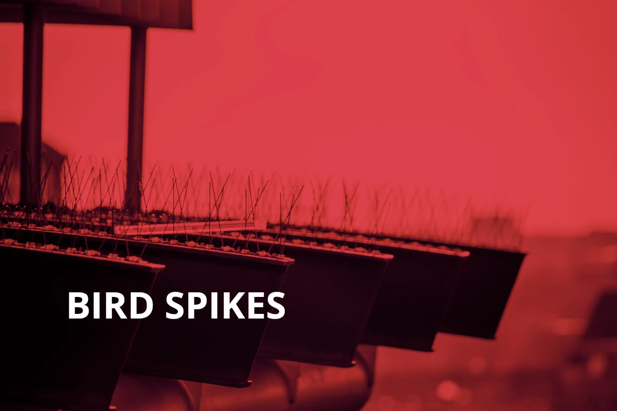 bird spikes for business Canada