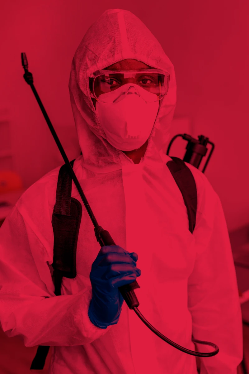 Insect control solutions for business