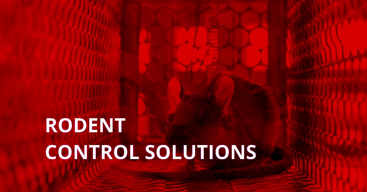Rodent Control Solutions Canada
