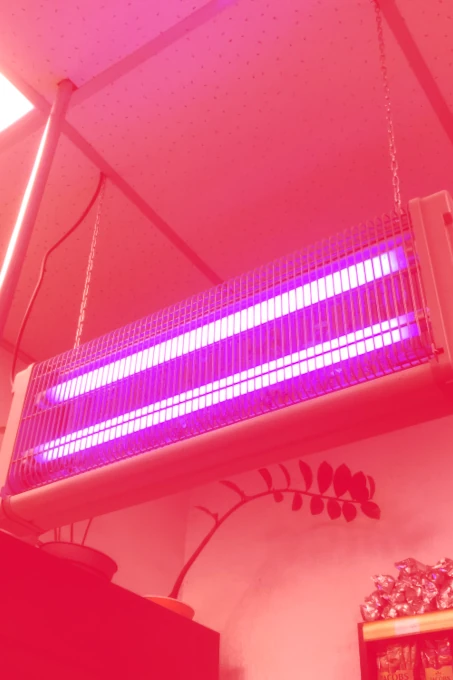 Pièges à rongeurs France